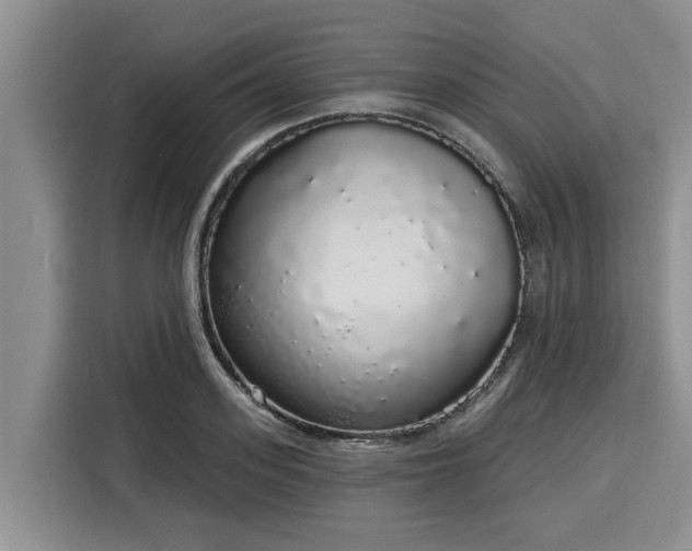 X0000116040939200911271155