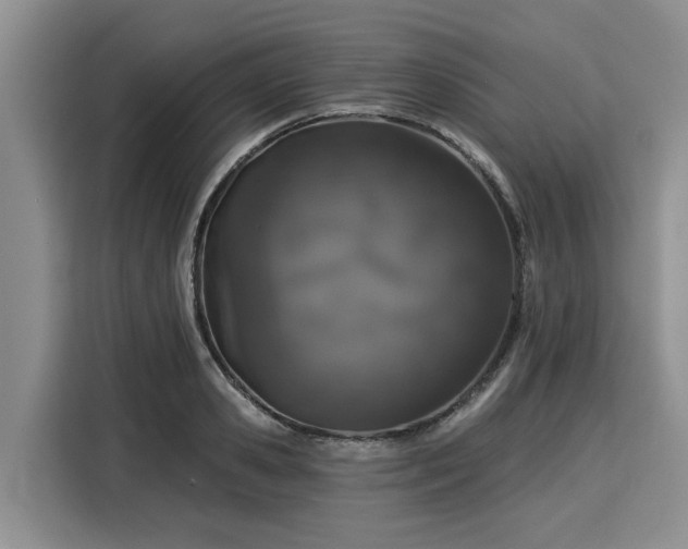 X0000116040941200911271155