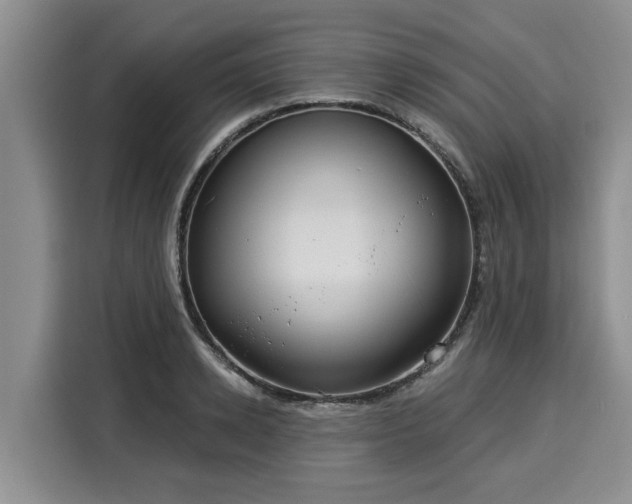 X0000116040942200911271155