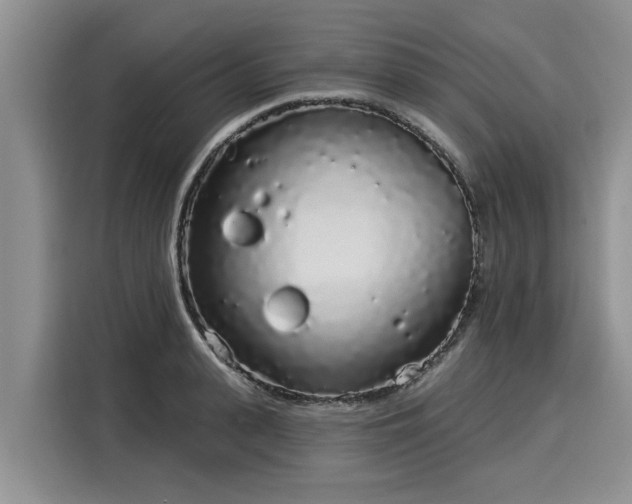 X0000116040943200911271155