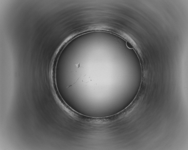 X0000116040947200911271155