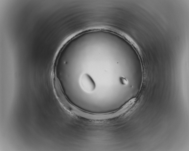 X0000116040951200911271155