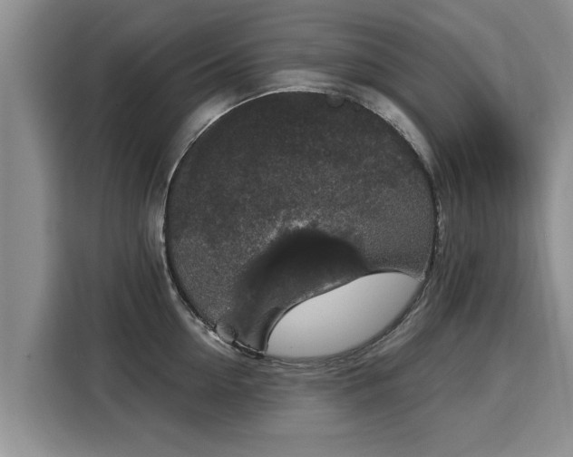 X0000116040954200911271155