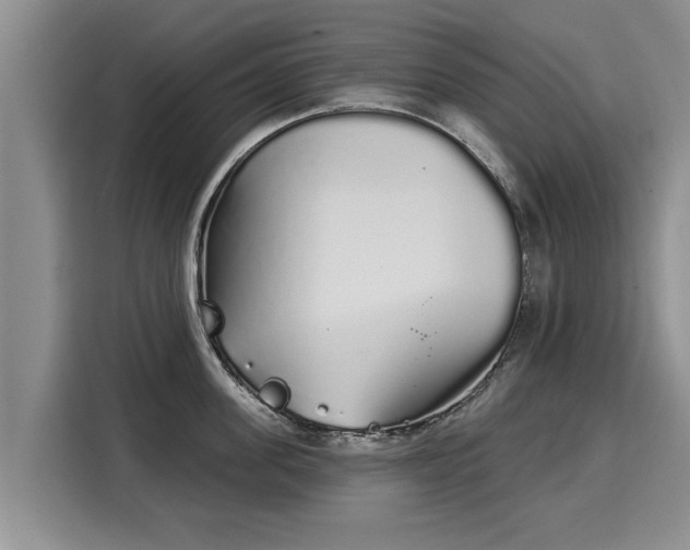 X0000116040955200911271155