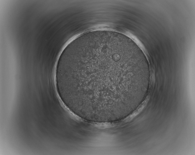 X0000116040957200911271155