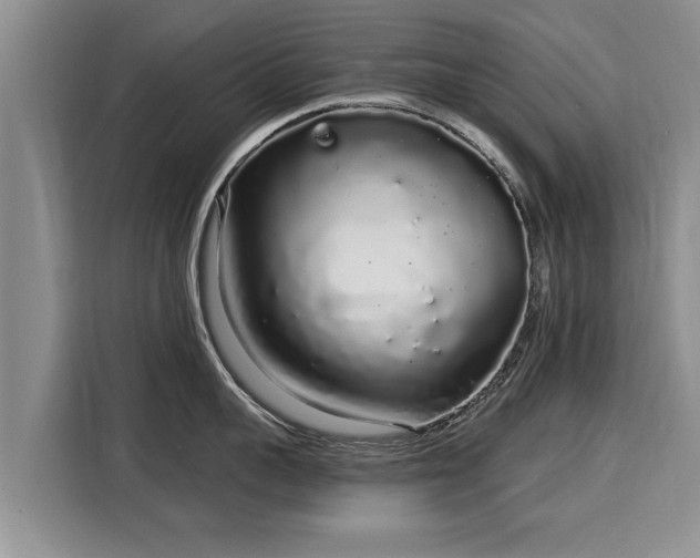 X0000116040959200911271155