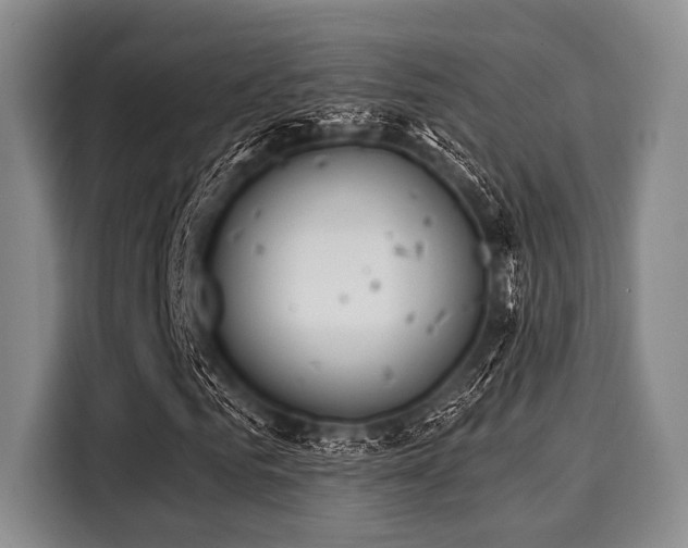 X0000116040961200911271155