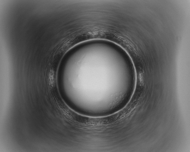 X0000116040963200911271155