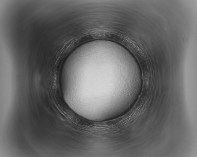 X0000116040964200911271155