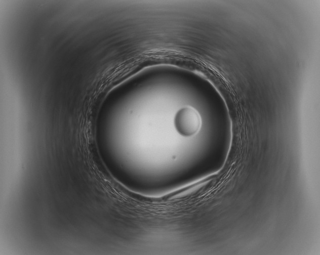 X0000116040965200911271155