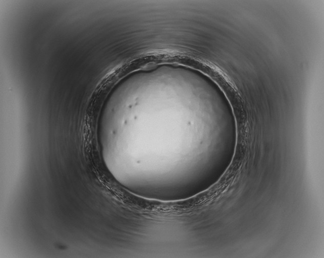 X0000116040967200911271155