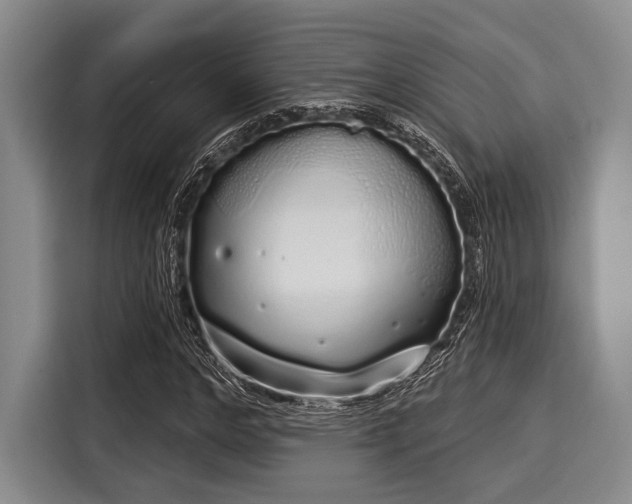 X0000116040968200911271155