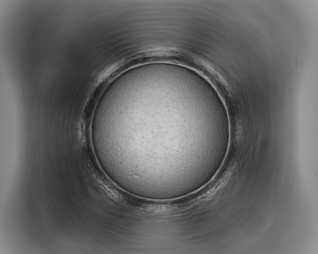 X0000116040970200911271155