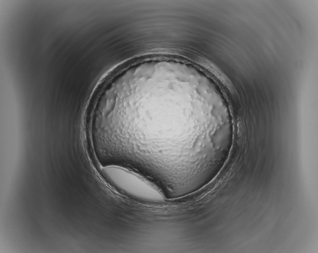 X0000116040972200911271155