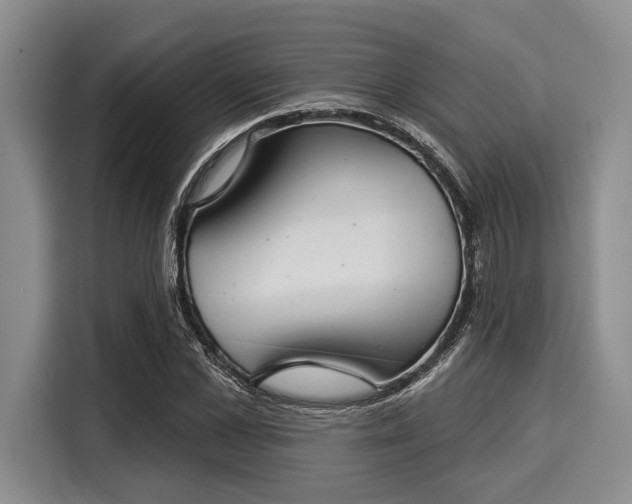 X0000116040973200911271154