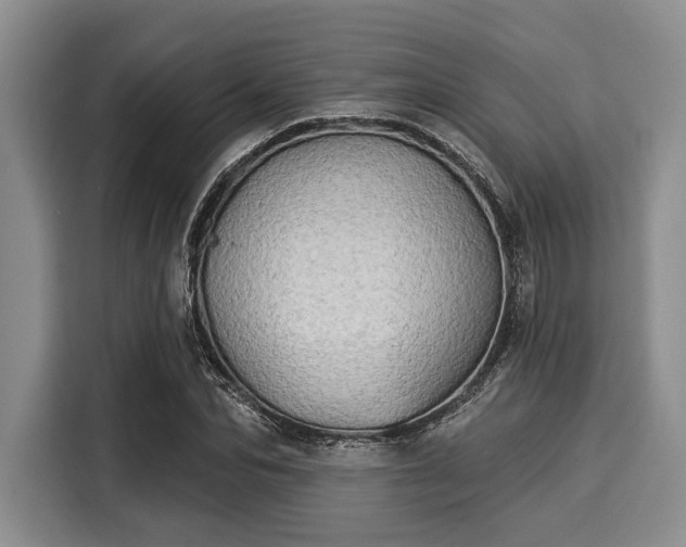 X0000116040974200911271154