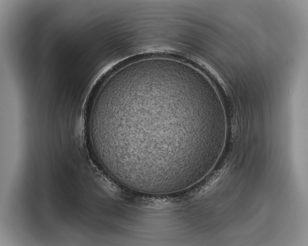 X0000116040975200911271154