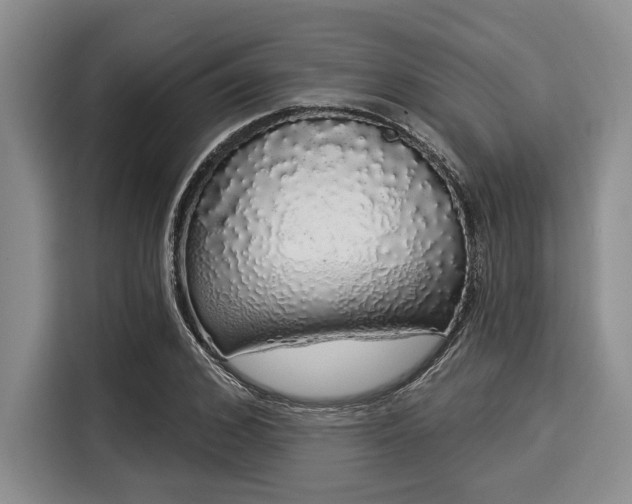 X0000116040976200911271154