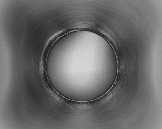 X0000116040979200911271154