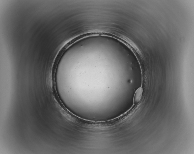 X0000116040980200911271154