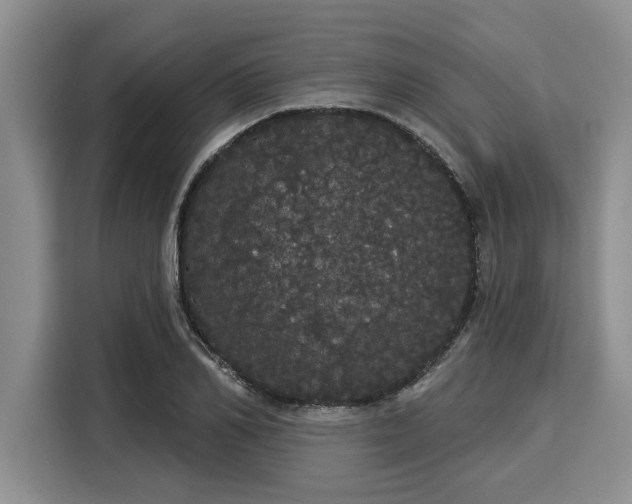 X0000116040982200911271154