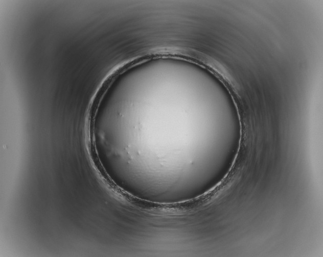 X0000116040984200911271154