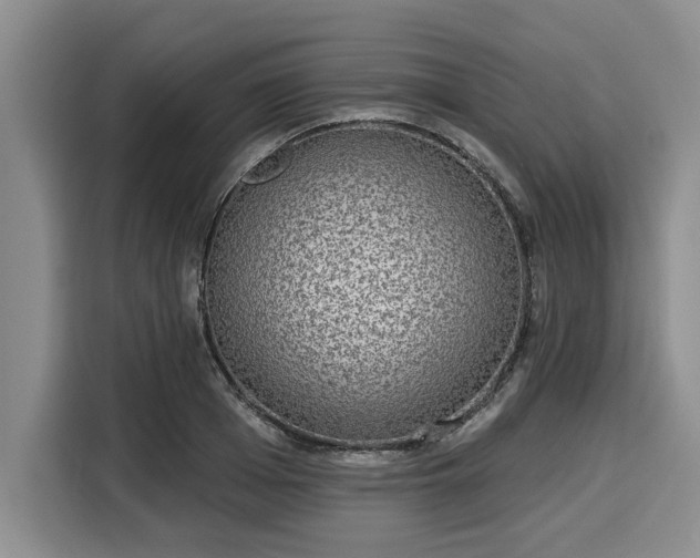 X0000116040985200911271154