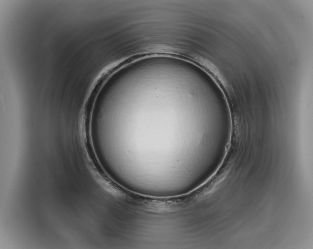 X0000116040987200911271154