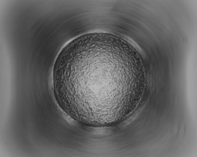 X0000116040988200911271154