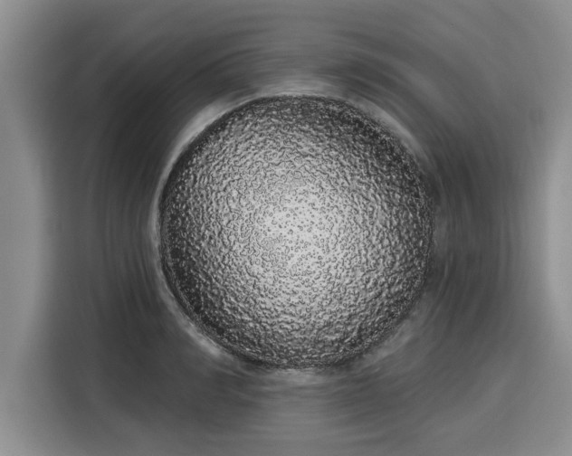 X0000116040990200911271154