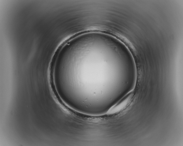 X0000116040991200911271154