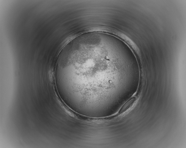 X0000116040993200911271154