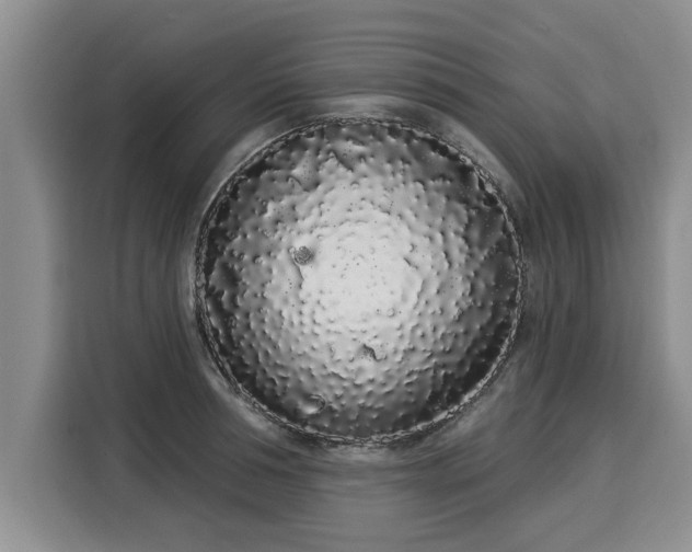 X0000116040994200911271154