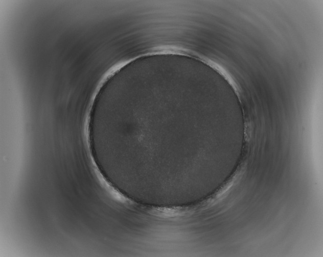 X0000116040995200911271154