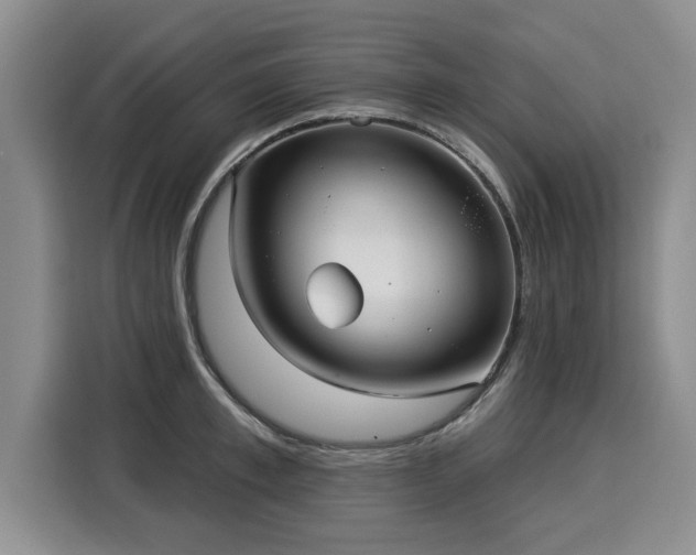 X0000116040997200911271154