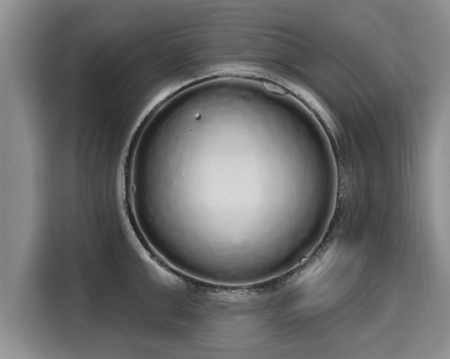 X0000116040999200911271154