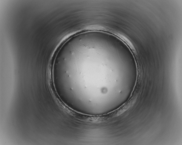 X0000116041000200911271154