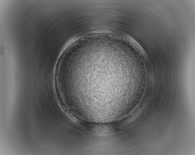 X0000116041002200911271154