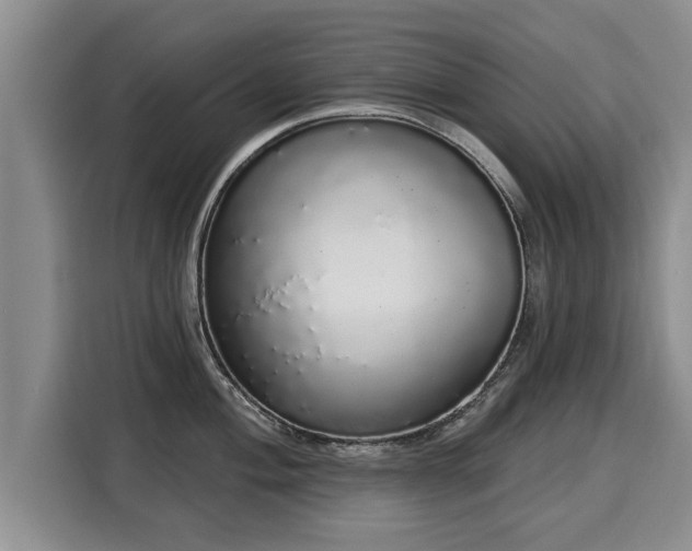 X0000116041004200911271154