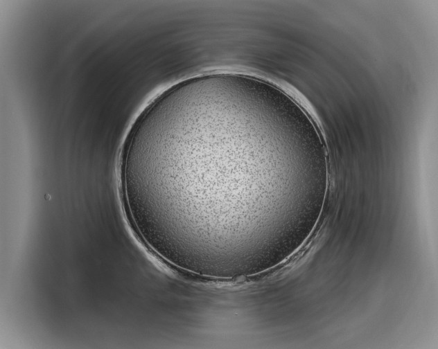 X0000116041005200911271154