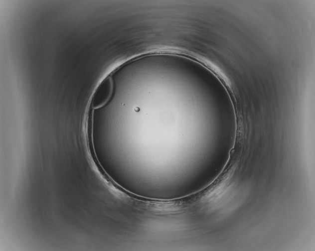 X0000116041007200911271154