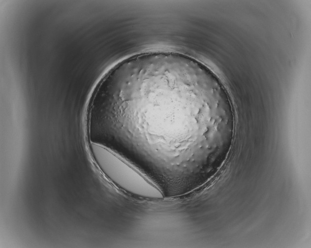 X0000116041008200911271154