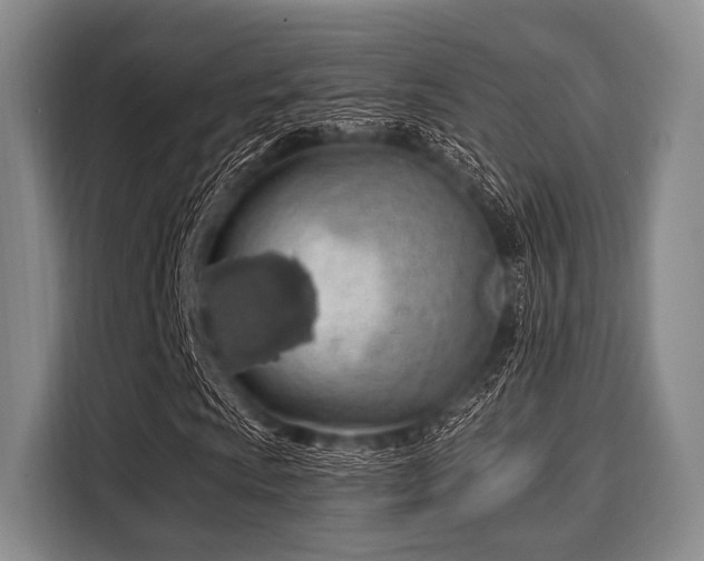 X0000116041009200911271153