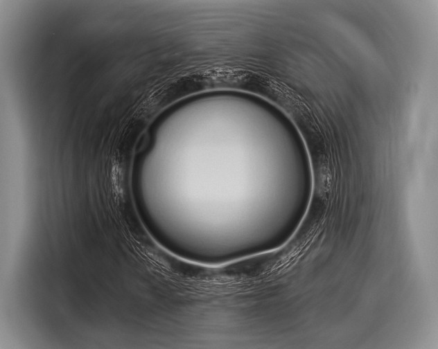 X0000116041010200911271153