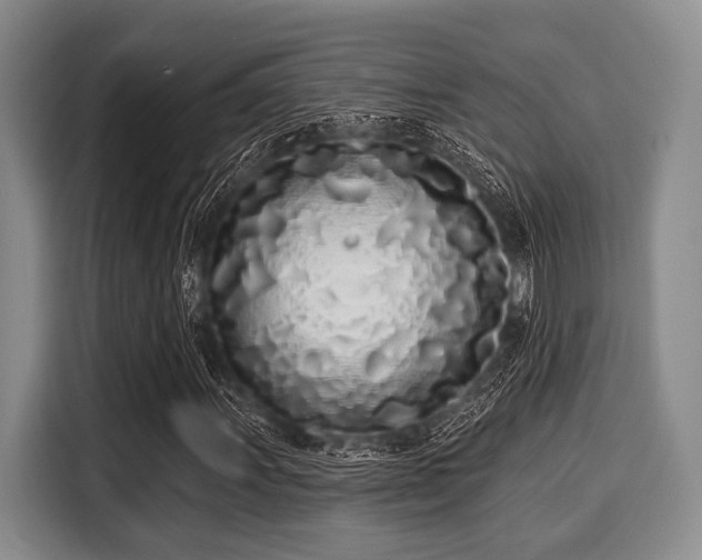 X0000116041011200911271153