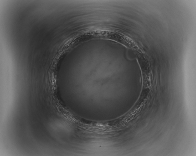 X0000116041013200911271153