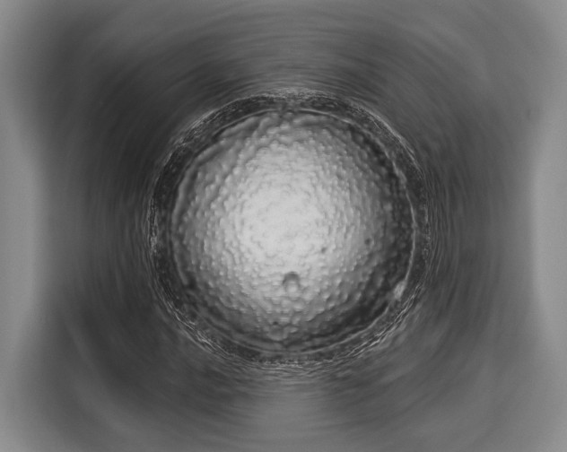 X0000116041016200911271154