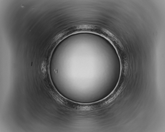 X0000116041017200911271154