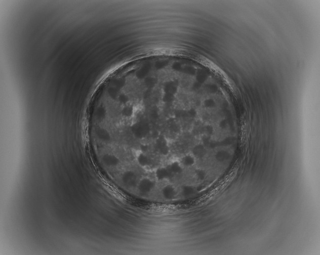 X0000116041019200911271154