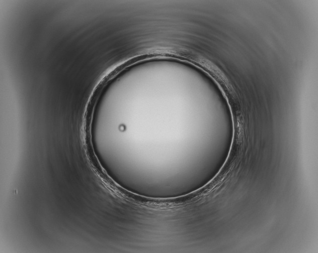 X0000116041020200911271154